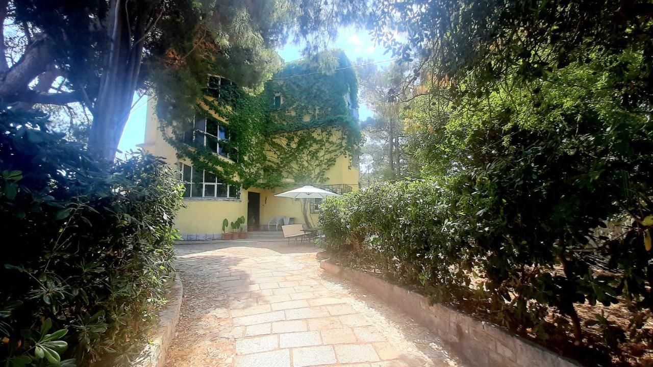 Old Captain'S Apartments - In A Pine Wood By The Sea And Tennis Courts Split Ngoại thất bức ảnh